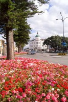 /album/fotogalerie-hawkess-bay/napier-3-jpg/